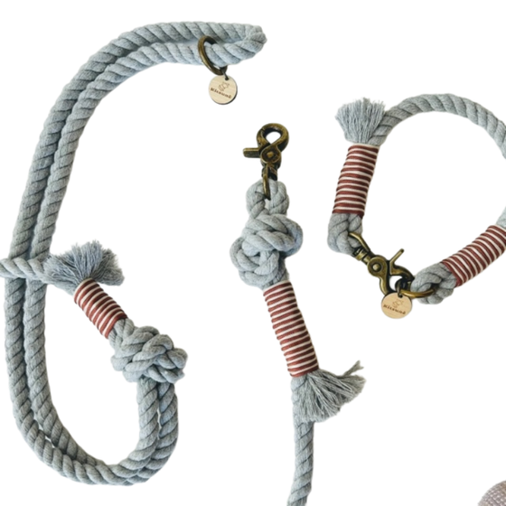 collier pour chien en corde torsadée gris clair