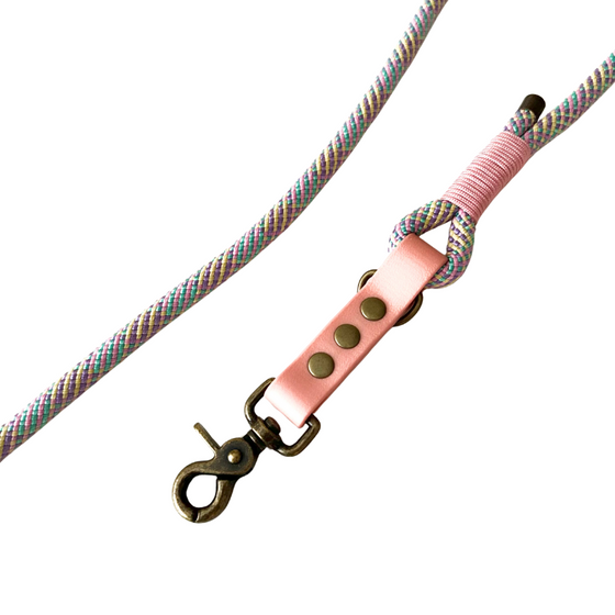 laisse chien paracorde biothane rose