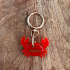médaille d'identification pour chien