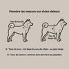 comment prendre les mesures de mon chien pour un harnais