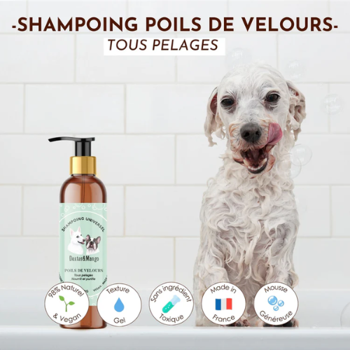 shampoing anti démangeaison