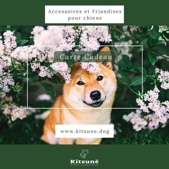 carte cadeau accessoires et friandises pour chiens kitsune.dog